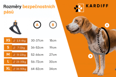 KARDIFF SET - Bezpečnostní pás (postroj + vodítko pro psa), velikost S / pomarančová
