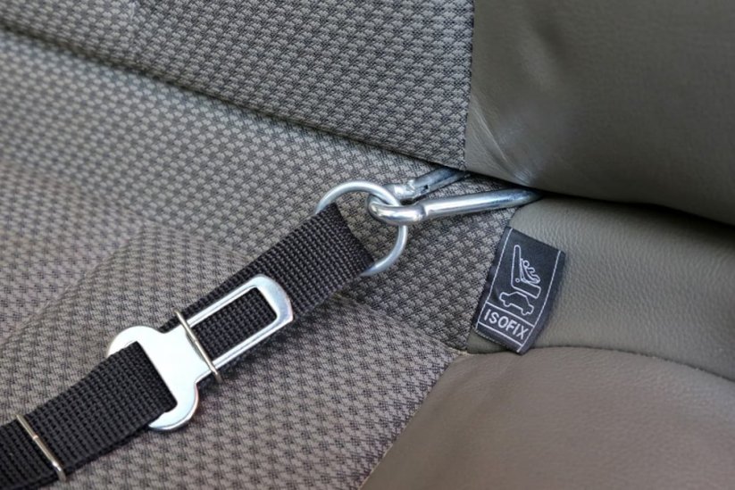 KARDIFF SET - Bezpečnostní pás (postroj + vodítko pro psa), velikost XL / zelený