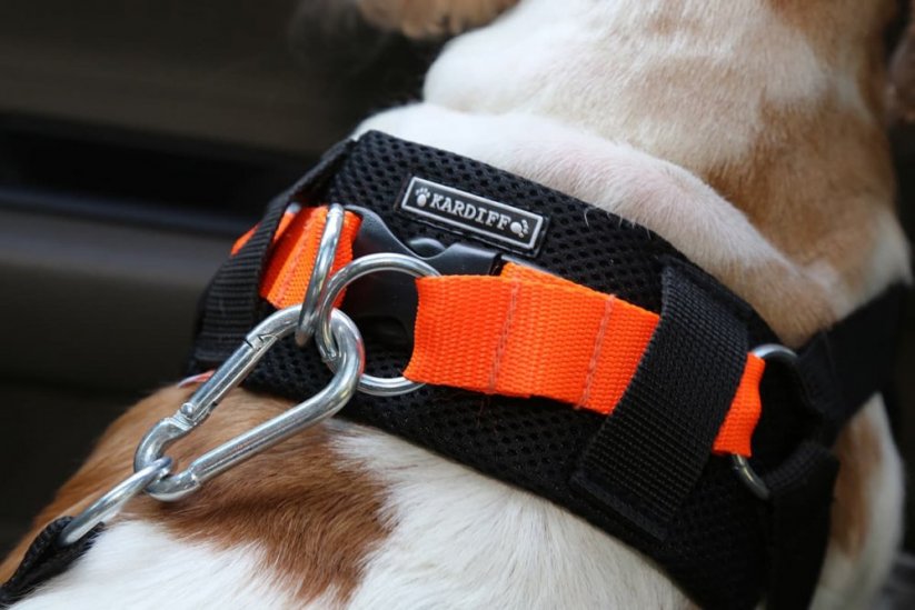 KARDIFF SET - Bezpečnostní pás (postroj + vodítko pro psa), velikost M / oranžová